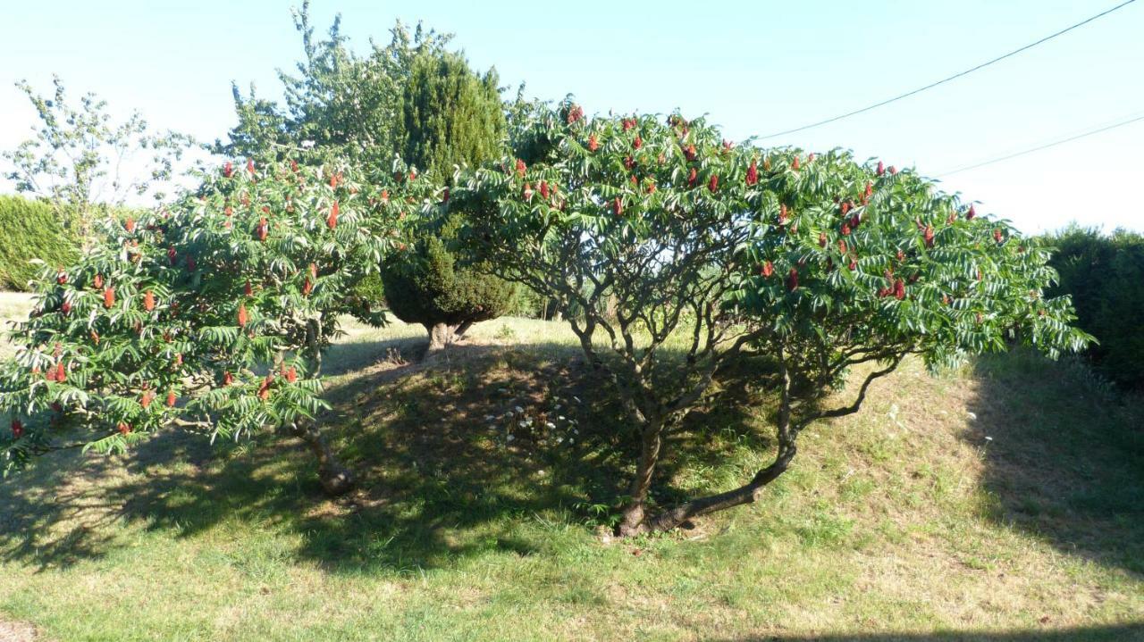 La Maison De Ners Pertheville-Ners Exteriör bild